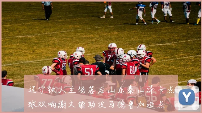 辽宁铁人主场落后山东泰山泽卡点球双响谢文能助攻马德鲁加造点