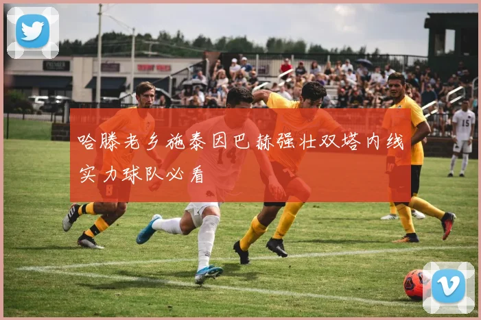 哈滕老乡施泰因巴赫强壮双塔内线实力球队必看