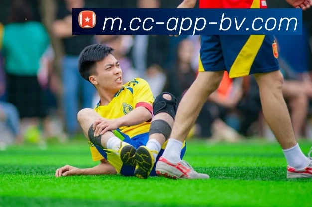 宝威体育APP 封面图